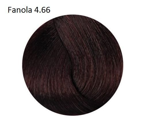 FANOLA COLOR 4.66