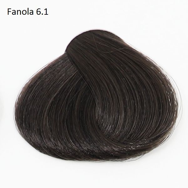 FANOLA COLOR 6.1